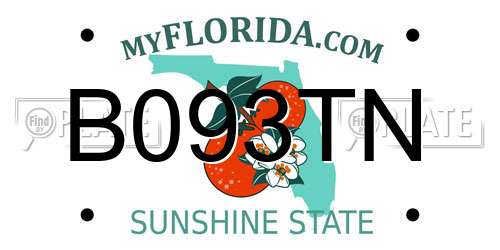B093TN Florida License Plate