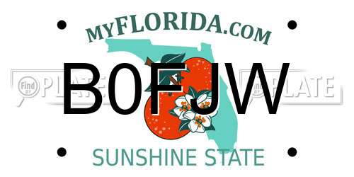 B0FJW Florida License Plate