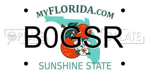 B0GSR Florida License Plate