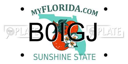 B0IGJ Florida License Plate