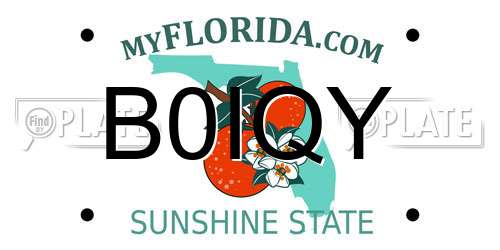 B0IQY Florida License Plate