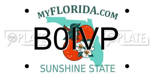 B0IVP Florida License Plate