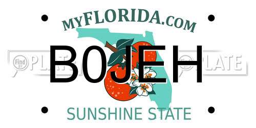 B0JEH Florida License Plate
