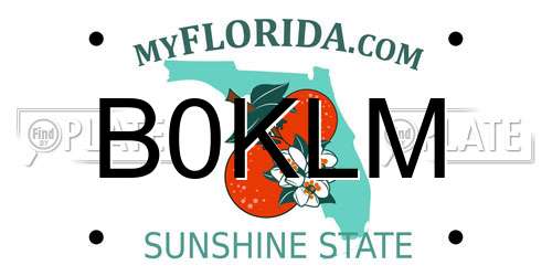 B0KLM Florida License Plate