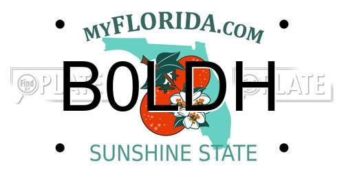B0LDH Florida License Plate
