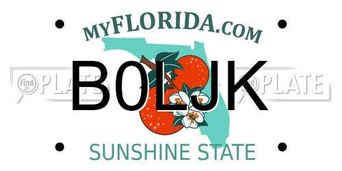 B0LJK Florida License Plate