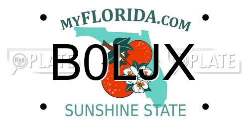 B0LJX Florida License Plate