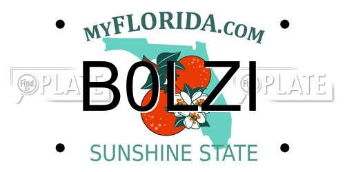 B0LZI Florida License Plate