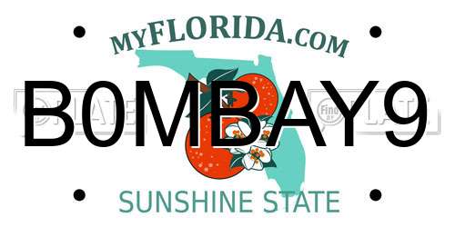 B0MBAY9 Florida License Plate
