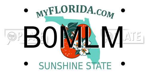 B0MLM Florida License Plate