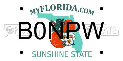 B0NPW Florida License Plate