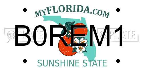 B0REM1 Florida License Plate