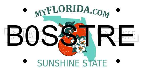 B0SSTRE Florida License Plate