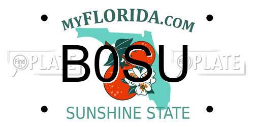 B0SU Florida License Plate