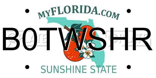 B0TWSHR Florida License Plate