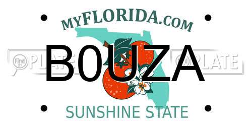 B0UZA Florida License Plate