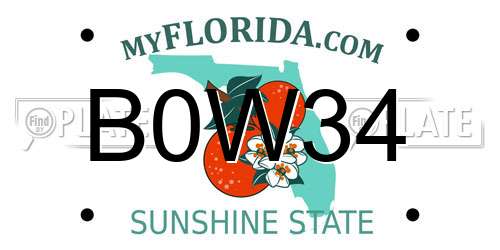 B0W34 Florida License Plate