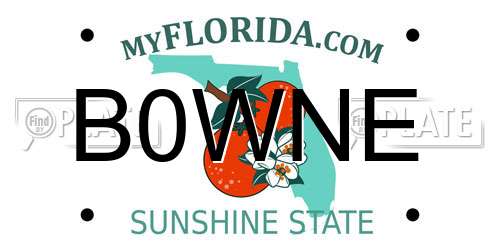 B0WNE Florida License Plate