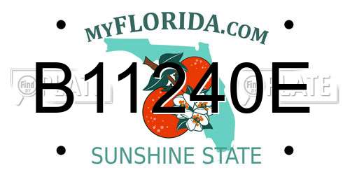 B11240E Florida License Plate