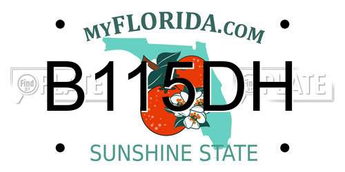 B115DH Florida License Plate