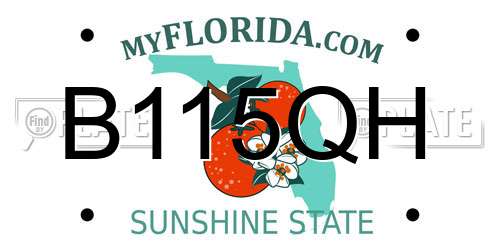 B115QH Florida License Plate