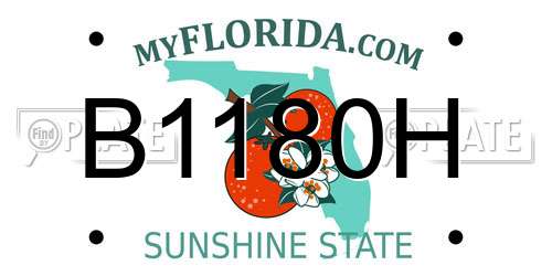 B1180H Florida License Plate
