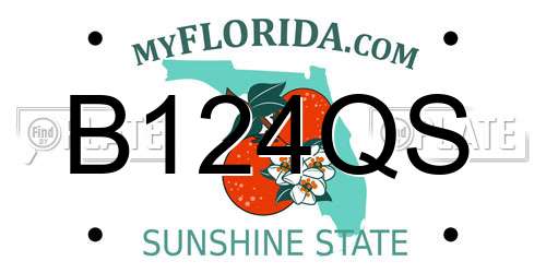 B124QS Florida License Plate