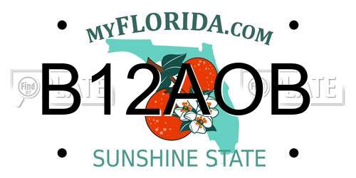 B12AOB Florida License Plate