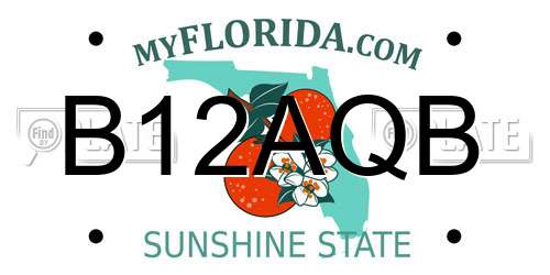 B12AQB Florida License Plate