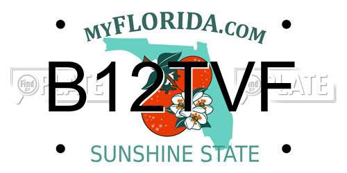 B12TVF Florida License Plate