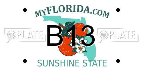 B13 Florida License Plate