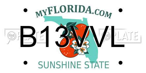 B13VVL Florida License Plate