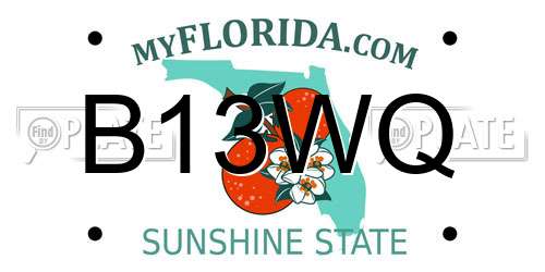 B13WQ Florida License Plate