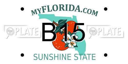 B15 Florida License Plate