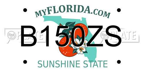 B150ZS Florida License Plate