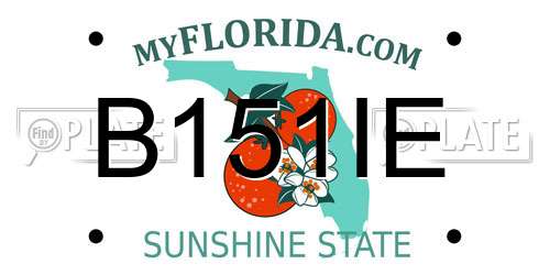 B151IE Florida License Plate