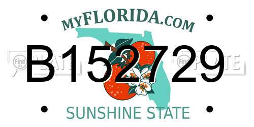 B152729 Florida License Plate