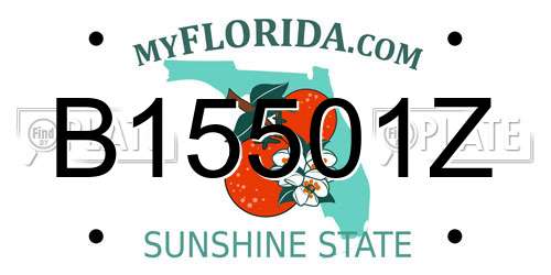 B15501Z Florida License Plate