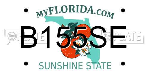 B155SE Florida License Plate