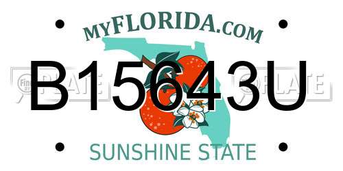 B15643U Florida License Plate