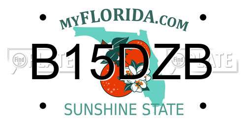 B15DZB Florida License Plate