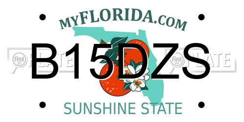 B15DZS Florida License Plate