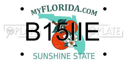 B15IIE Florida License Plate