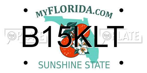 B15KLT Florida License Plate