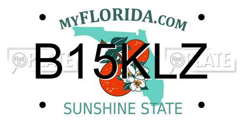 B15KLZ Florida License Plate