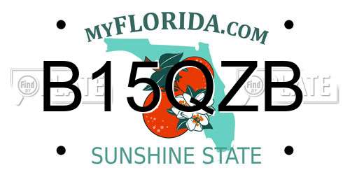 B15QZB Florida License Plate