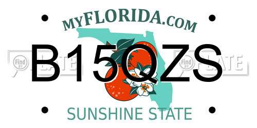 B15QZS Florida License Plate