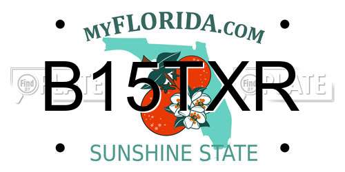 B15TXR Florida License Plate