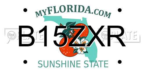 B15ZXR Florida License Plate