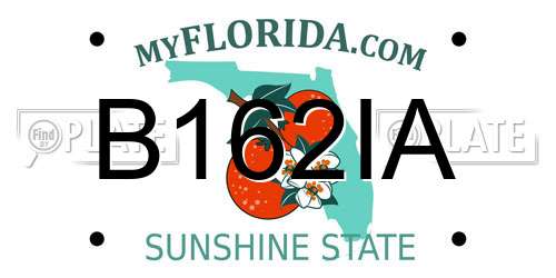 B162IA Florida License Plate